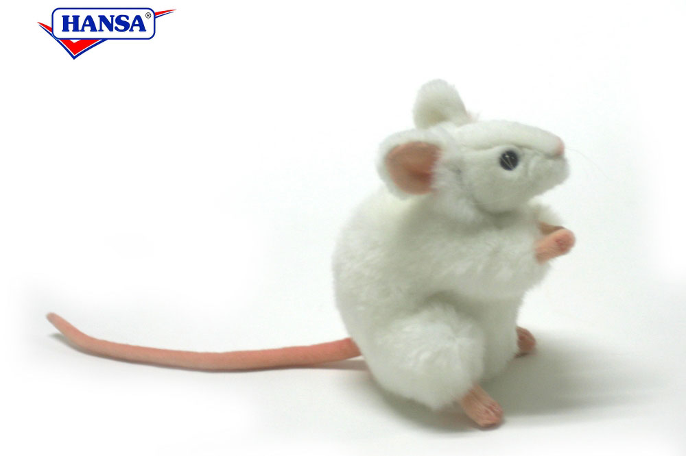 hansa white german mouse